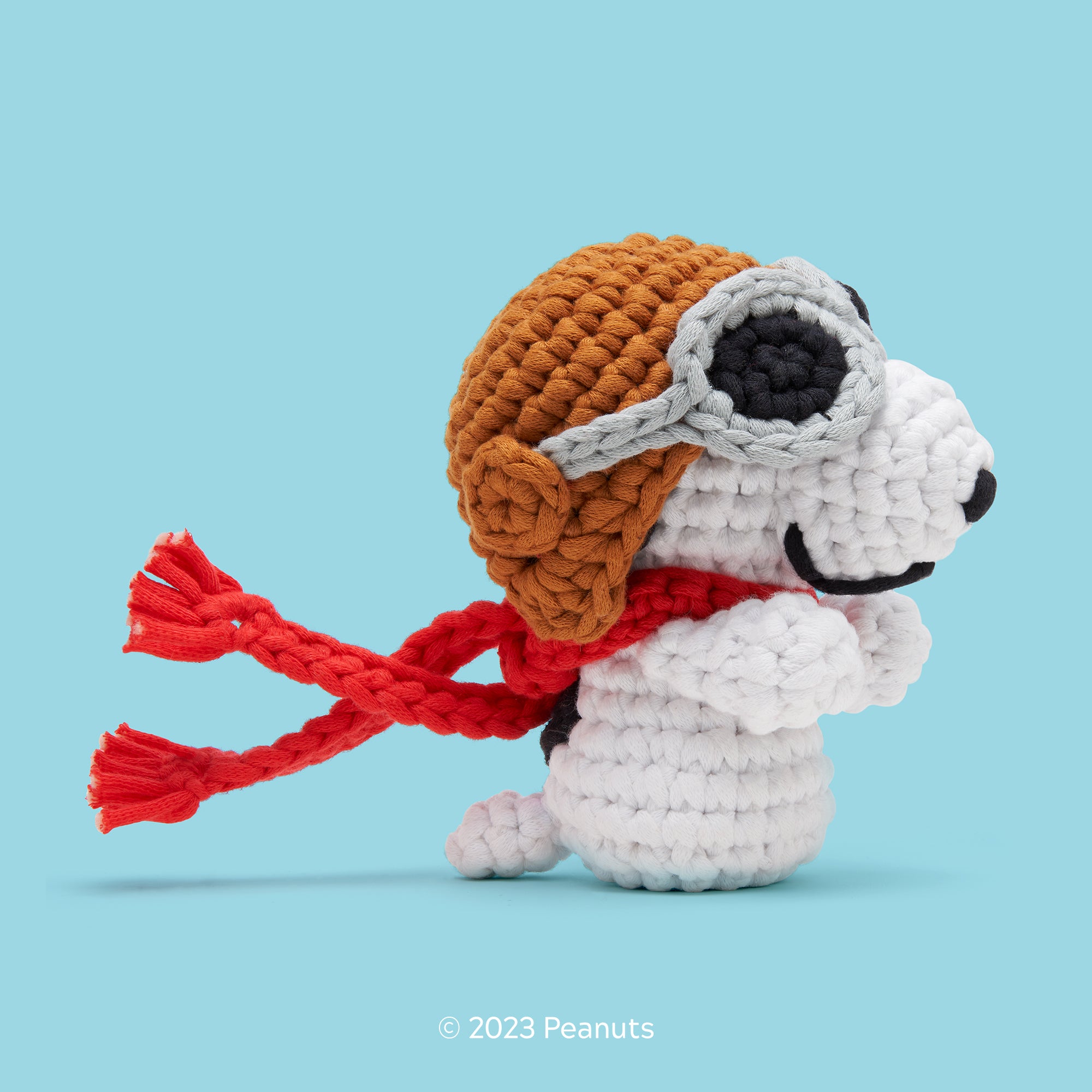 Peanuts-Palooza Bundle (Arrives 12/24) - Image 6