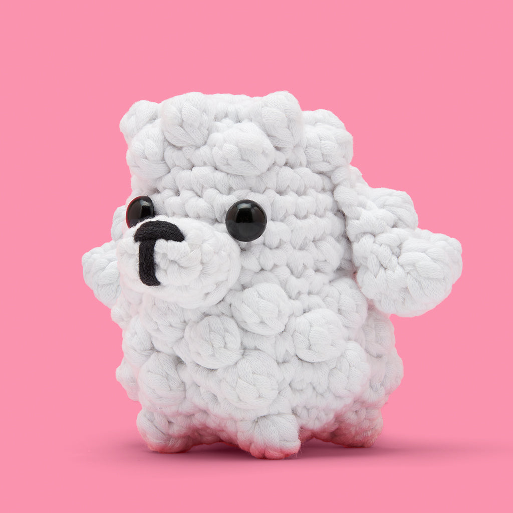 Get This Paw-ty Started Bundle - Image 13