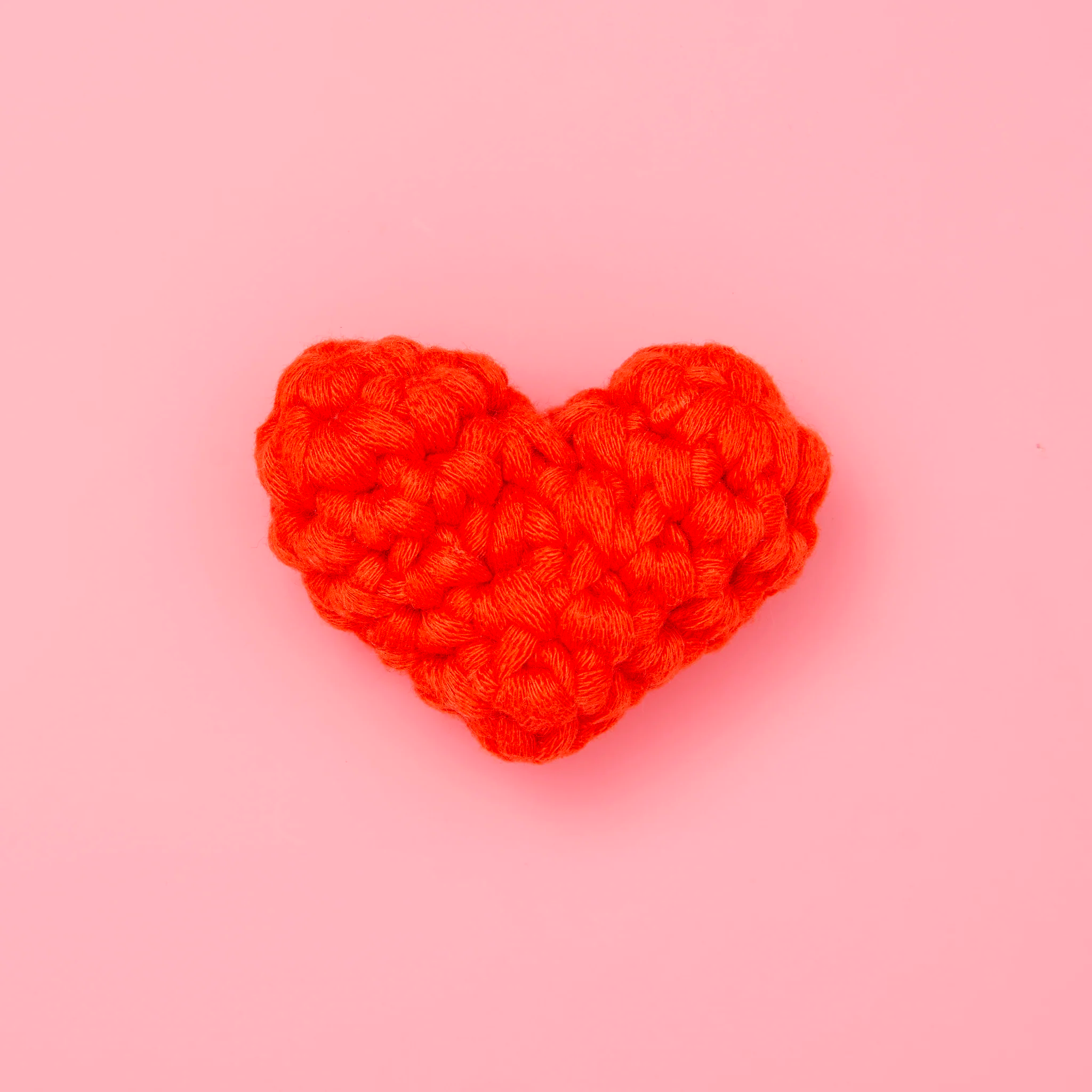 Eat, Paw, Love Bundle - Image 4