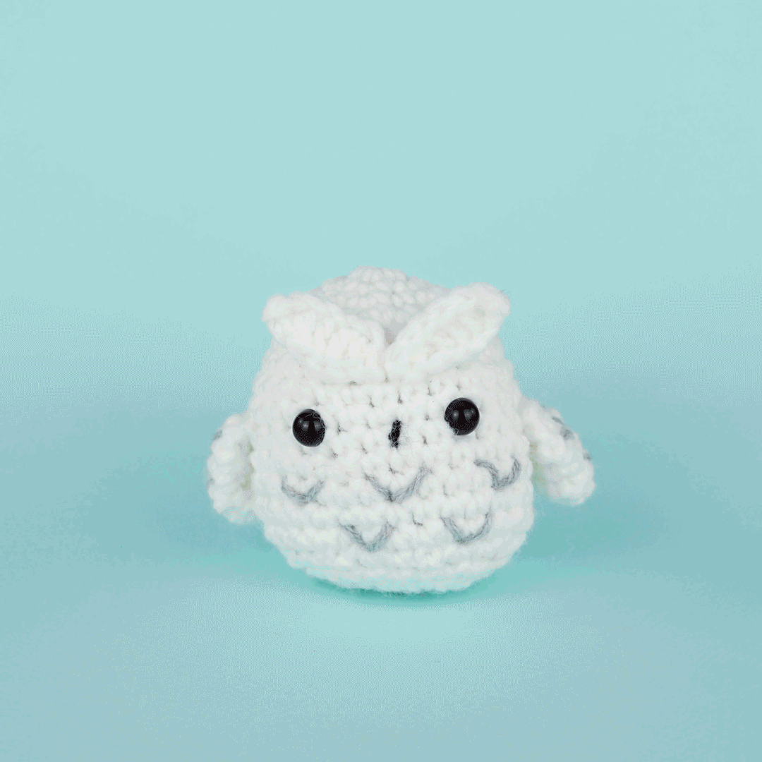 Andy the Owl Crochet Kit - Image 4